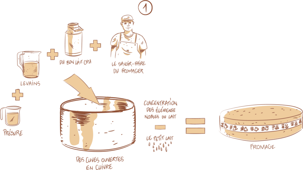 Première phase de fabrication du Comté AOP, ingrédients et processus.