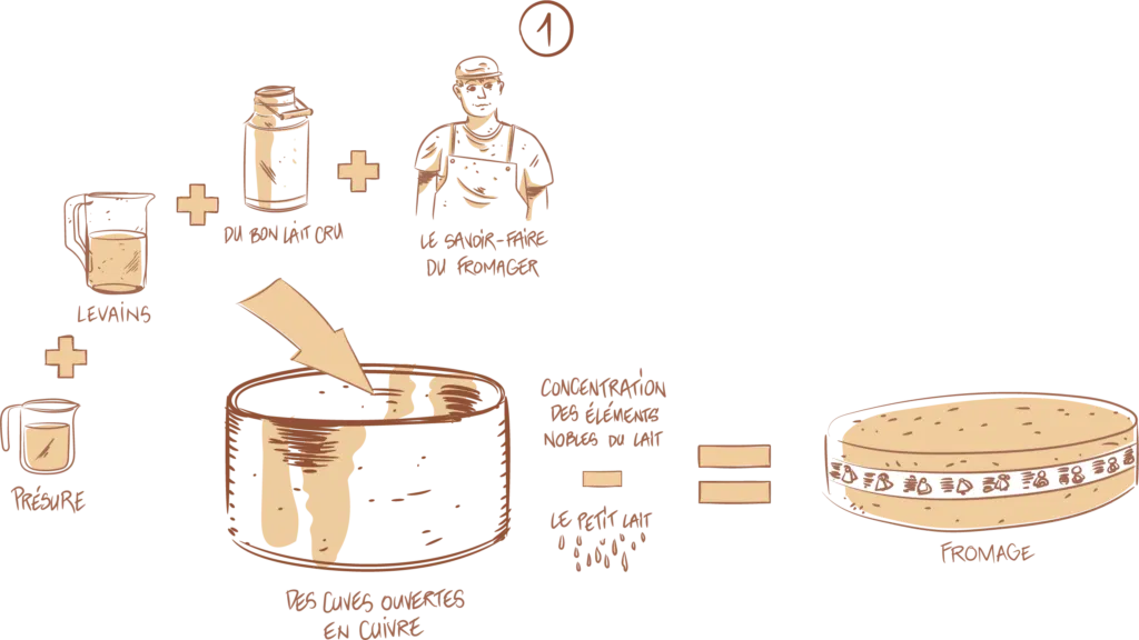 Première phase de fabrication du Comté AOP, ingrédients et processus.