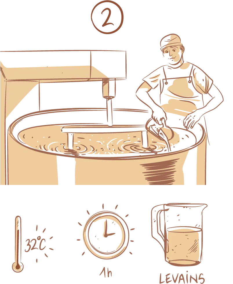 Maturation du lait Comté AOP