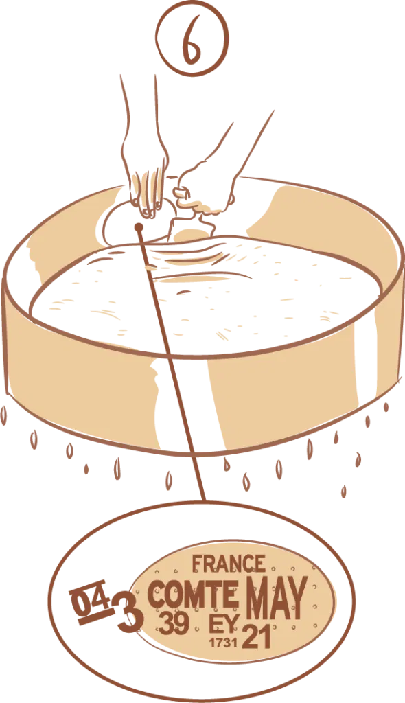 Moulage et identification Comté AOP