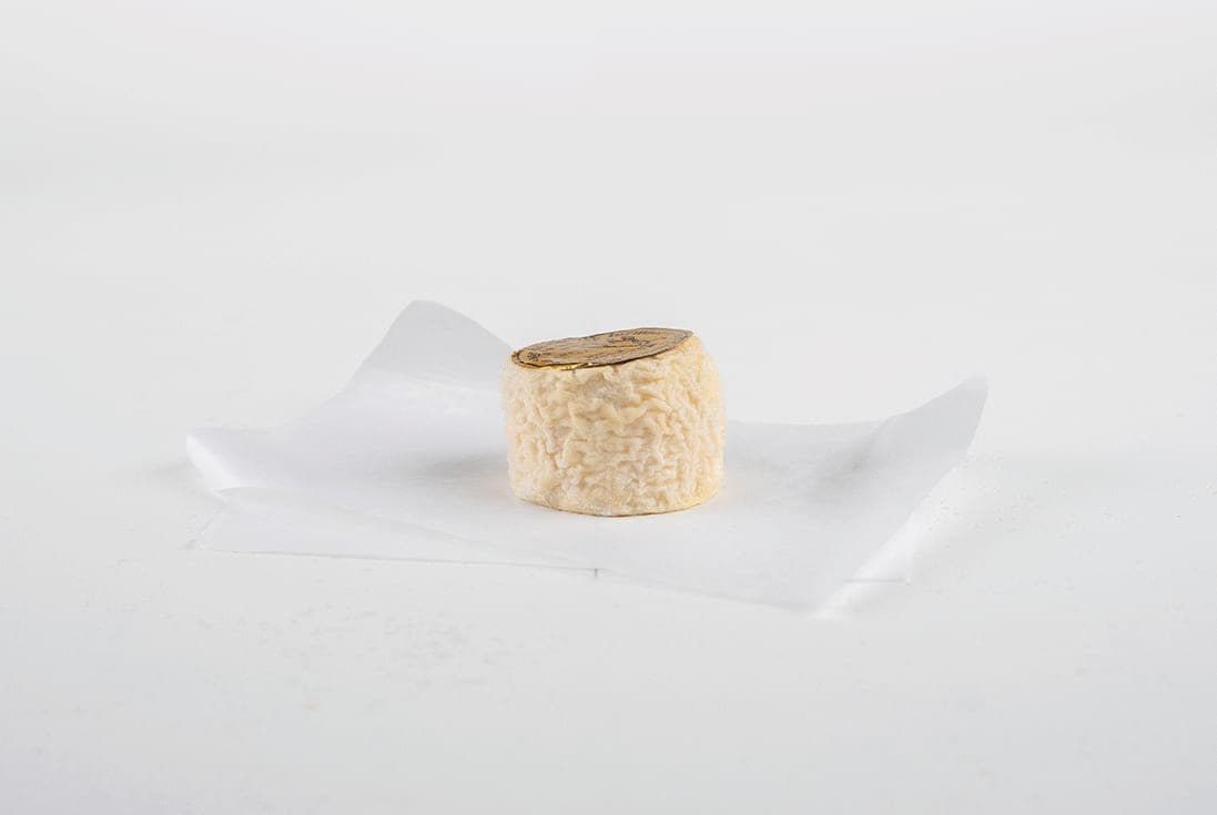 Fruitière des Coteaux de Seille Lavigny Jura Fromage de Chèvre Affiné Fermier